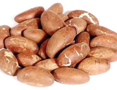 Bitter Kola — Brustella FOODS