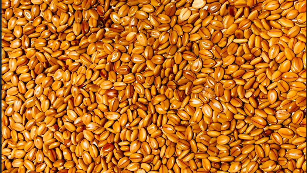 Sesame Seeds — Brustella FOODS